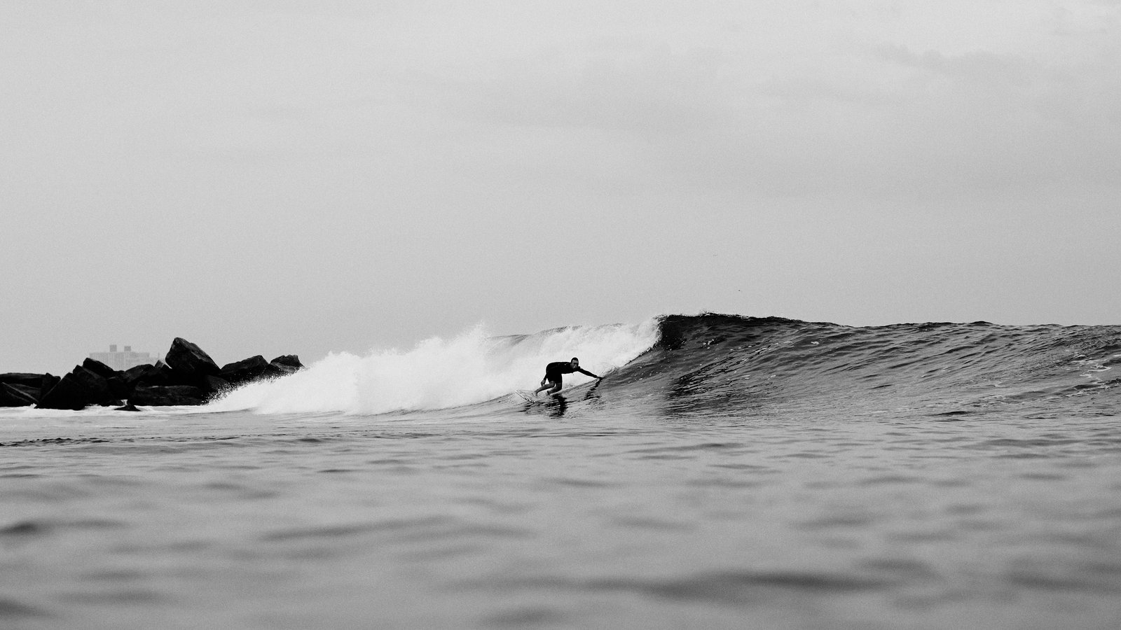 Dion Mattison